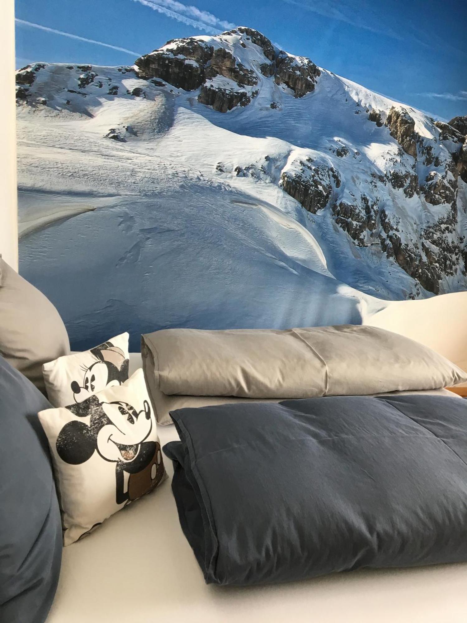 רמסאו אם דכשטיין Alpin Appartement Reinhard Tritscher מראה חיצוני תמונה